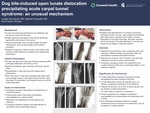 Dog Bite-Induced Open Lunate Dislocation Precipitating Acute Carpal Tunnel Syndrome: An Unusual Mechanism by Joseph Gorvetzian and Stephen Duquette