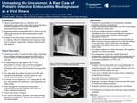 Unmasking the Uncommon: A Rare Case of Pediatric Infective Endocarditis Misdiagnosed as a Viral Illness by Lyanette Irizarry-Leon, Angela Zamarripa, and Lindsey Ouellette