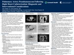 Pulmonary Artery Pseudoaneurysm Following Right Heart Catheterization: Diagnostic and Interventional Considerations by Alex Phillips and Samy Behairy
