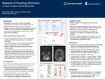 Beware of Feeding Chickens: A Case of Salmonella Endocarditis
