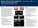 Erector Spinae Plane Block for Refractory Shingles Pain by Patrick Fewins, Justin Winkler, and Jordan Johnson