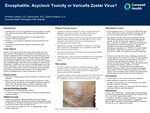Encephalitis: Acyclovir Toxicity or Varicella Zoster Virus? by Christine Carline, David Hess, and Diane Paratore