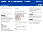 A Novel Case of Babesiosis in a Gardener by James Benke, Jay Shah, and David Lang
