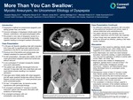 More Than You Can Swallow: Mycotic Aneurysm, An Uncommon Etiology of Dyspepsia by Hussein Bazzy, Katharine Glover, Steven Jones, James Aldridge, Michael Potes, and Katie Sumnicht