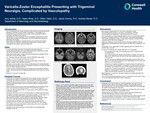 Varicella-Zoster Encephalitis Presenting with Trigeminal Neuralgia, Complicated by Vasculopathy by Amy Ishbia, Katherine Ross, Dillon Yaldo, Jacob Conroy, and Andrea Stoner