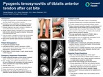 Pyogenic Tenosynovitis of Tibialis Anterior Tendon After Cat Bite by Daniel Blascak, David Sosnoski, and Aaron Seidman
