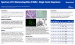 Spectrum of C3 glomerulopathies (C3GNs) – single center experience