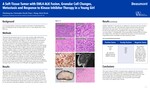 A Soft Tissue Tumor with EML4-ALK Fusion, Granular Cell Changes, Metastasis, and Response to Kinase Inhibitor Therapy in a Young Girl