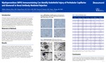 Myeloperoxidase (MPO) Immunostaining Can Identify Endothelial Injury of Peritubular Capillaries  and Glomeruli in Renal Antibody Mediated Rejection