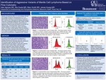 Identification of Aggressive Variants of Mantle Cell Lymphoma Based on Flow Cytometry