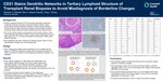 CD21 Stains Dendritic Networks in Tertiary Lymphoid Structure of  Transplant Renal Biopsies to Avoid Misdiagnosis of Borderline Changes