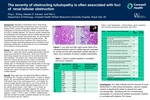 The Severity of Obstructing Tubulopathy is Often Associated with Foci of Renal Tubular Obstruction