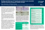 Grading and Follow-Up of T Lymphocyte-Mediated Acute Interstitial Nephritis Following Checkpoint Inhibitor Therapy